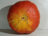 Cucurbita maxima Potiron rouge vif d'Etampes; ombilics