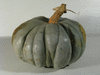 Cucurbita maxima Crioula Pataka; fruits