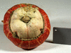 Cucurbita maxima Mini turban rouge; ombilics