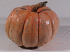 Cucurbita maxima F1 Brians grey; fruits