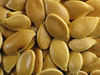 Cucurbita maxima Penasco cheese; graines