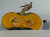 Cucurbita maxima Giraumon turban plat; coupes