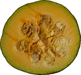 Cucurbita maxima Iran; coupes