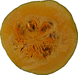 Cucurbita maxima Chersonskaya; coupes