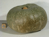 Cucurbita maxima Chersonskaya; fruits