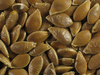 Cucurbita maxima Chersonskaya; graines