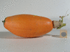 Cucurbita maxima Friedrich Nietzsche; fruits