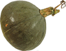 Calabaza del norte