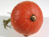 Cucurbita maxima Hokoko Kurodane; ombilics