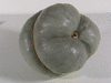 Cucurbita maxima Zucca Mantovana; ombilics