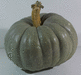 Cucurbita maxima Bleu de Turquie; fruits