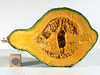 Cucurbita maxima Hubbard d'Afrique du sud; coupes