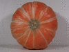 Cucurbita maxima Zapallo camote; ombilics