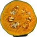 Cucurbita maxima Jalostototlan calabaza; coupes