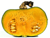 Cucurbita maxima Jalostototlan calabaza; coupes