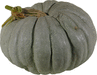 Cucurbita maxima Bal kabagi; fruits