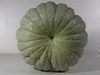 Cucurbita maxima Bal kabagi; ombilics