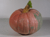 Cucurbita maxima Trkischer Bergkrbis; fruits