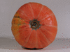 Cucurbita maxima Adriatica; ombilics