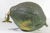 Cucurbita maxima Herrenkrbis; fruits