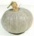 Cucurbita maxima Griborskay (Russe); fruits