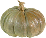 Cucurbita maxima Peruaanse; fruits