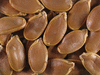 Cucurbita maxima Peruaanse; graines