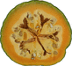 Cucurbita maxima KCB d'Usbekistan; coupes