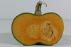 Cucurbita maxima KCB d'Usbekistan; coupes