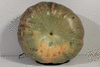 Cucurbita maxima Kalonice; ombilics