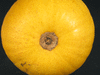 Cucurbita pepo Melonette jaspe de Vende; ombilics