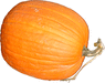 Cucurbita pepo Big moon (Halloween); fruits