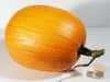 Cucurbita pepo F1 Longface; fruits