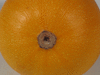 Cucurbita pepo Pomme d'or; ombilics