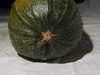 Cucurbita pepo Courge de Bresse jaune; ombilics