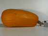 Cucurbita pepo Courge de Bresse jaune; fruits