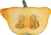 Cucurbita pepo Flying saucer; coupes
