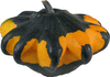 Cucurbita pepo Flying saucer; fruits