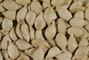 Cucurbita pepo Flying saucer; graines