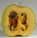 Cucurbita pepo Kuka; coupes