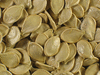 Cucurbita pepo Golden marbr; graines