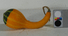 Cucurbita pepo Coloquinte cuillère; fruits