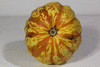 Cucurbita pepo F1 Sincrit; ombilics