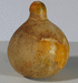 Cucurbita pepo Coloquinte poire rayée; fruits-secs