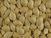 Cucurbita pepo Coloquinte poire raye; graines