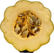 Cucurbita pepo F1 Early acorn; coupes
