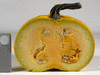 Cucurbita pepo Ronde de Nice; coupes