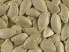 Cucurbita pepo Gucoy-mini; graines
