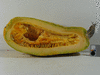 Cucurbita pepo Tabergmouzt (du Maroc); coupes