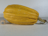 Cucurbita pepo Tabergmouzt (du Maroc); fruits